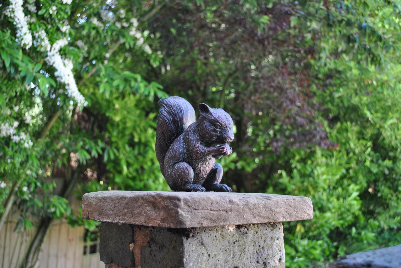Villa Squirrel Barn Milwich Exterior foto